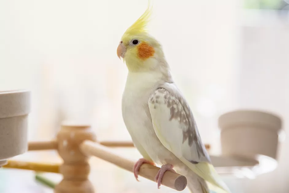 a picture